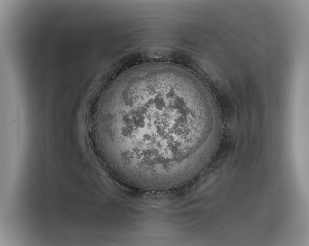 X0000115850817200911201611