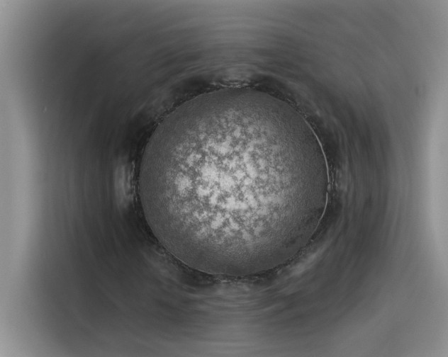 X0000115850818200911201611
