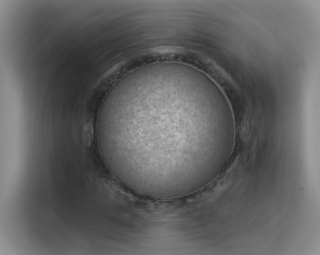 X0000115850821200911201612
