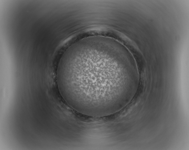 X0000115850822200911201612