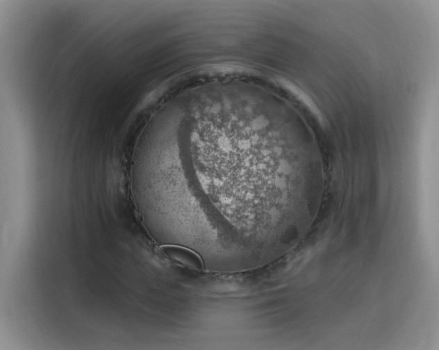 X0000115850823200911201612