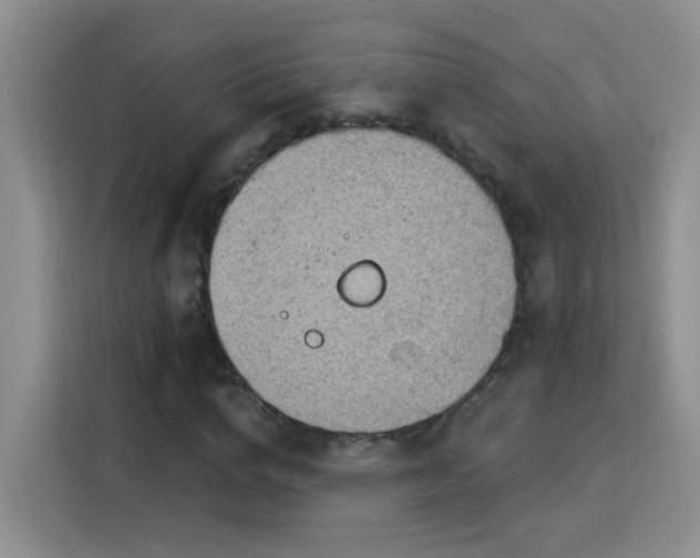 X0000115850824200911201612