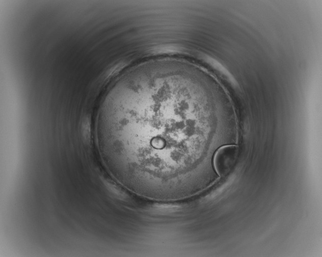 X0000115850825200911201612
