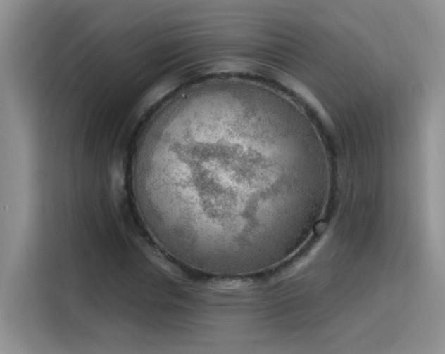 X0000115850826200911201612