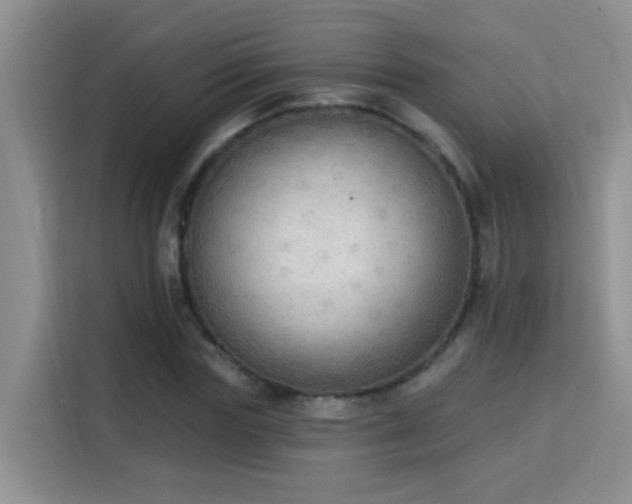 X0000115850827200911201612
