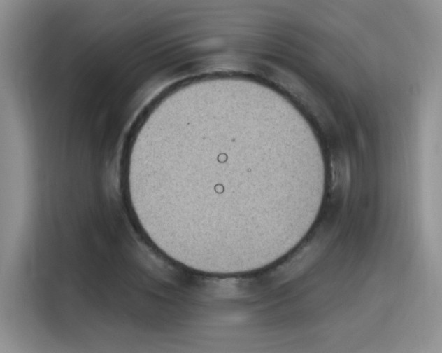 X0000115850828200911201612