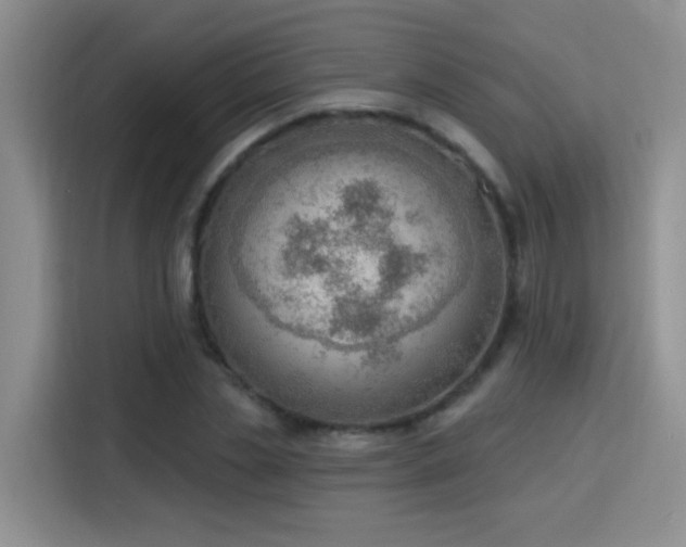 X0000115850829200911201612