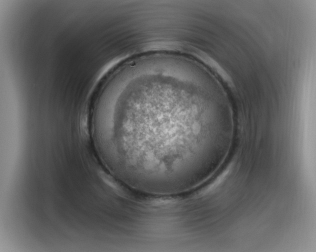 X0000115850830200911201612