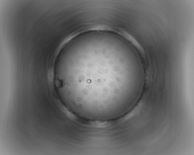 X0000115850831200911201612