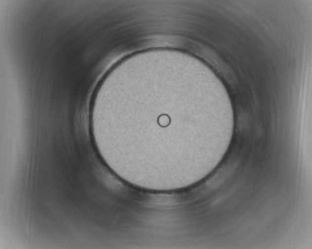 X0000115850836200911201612