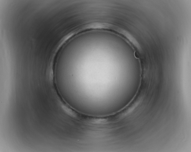 X0000115850837200911201612