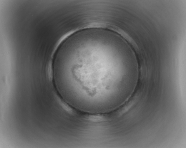 X0000115850838200911201612