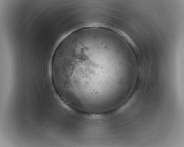 X0000115850839200911201612