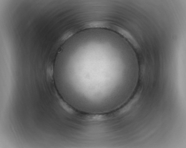 X0000115850841200911201612