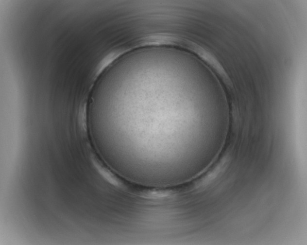 X0000115850842200911201612