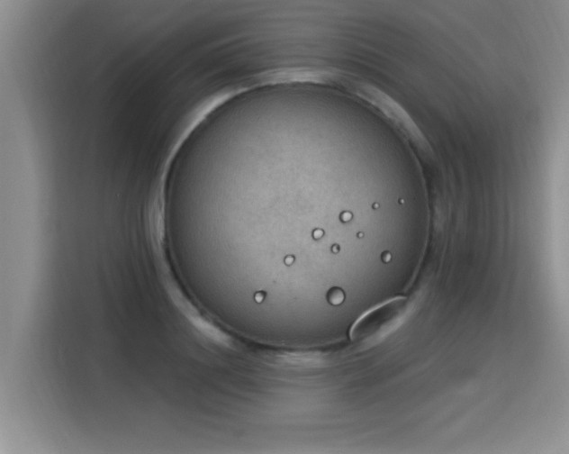 X0000115850844200911201612