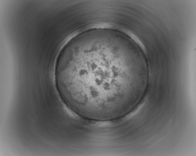 X0000115850845200911201612