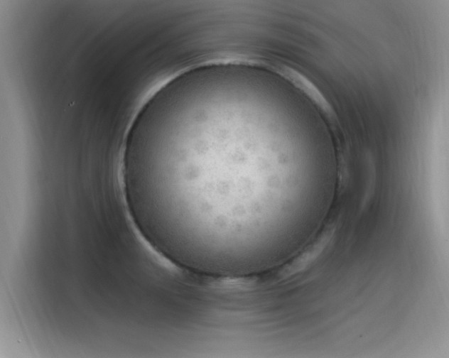 X0000115850847200911201612