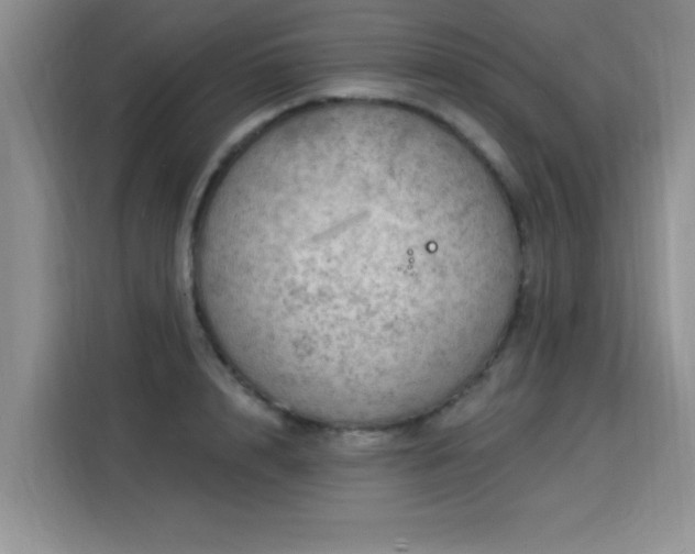 X0000115850848200911201612