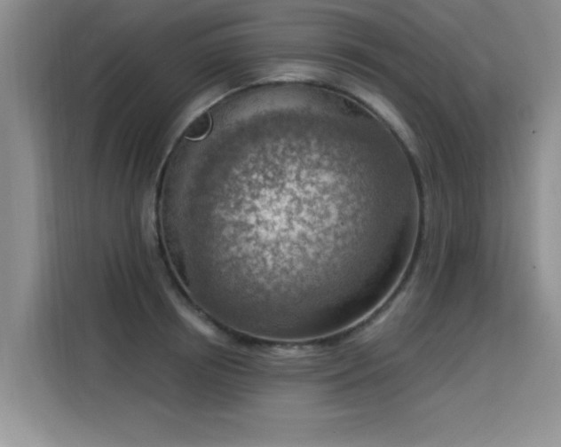 X0000115850850200911201612