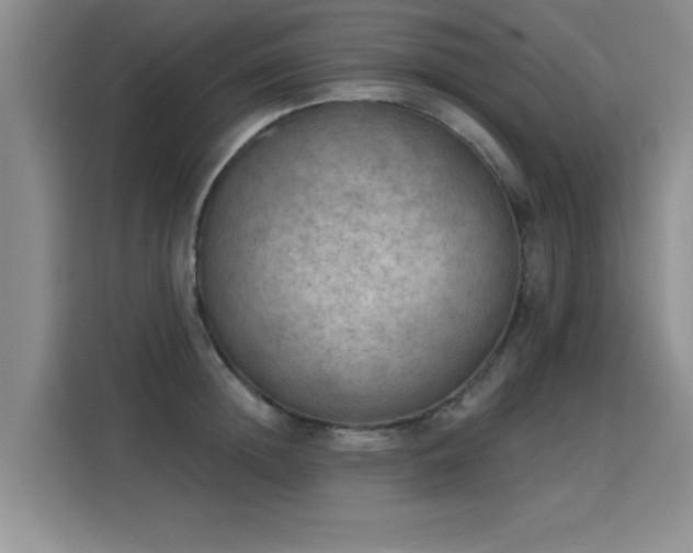 X0000115850852200911201612