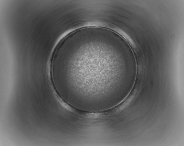 X0000115850854200911201612