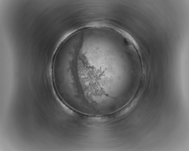X0000115850855200911201612