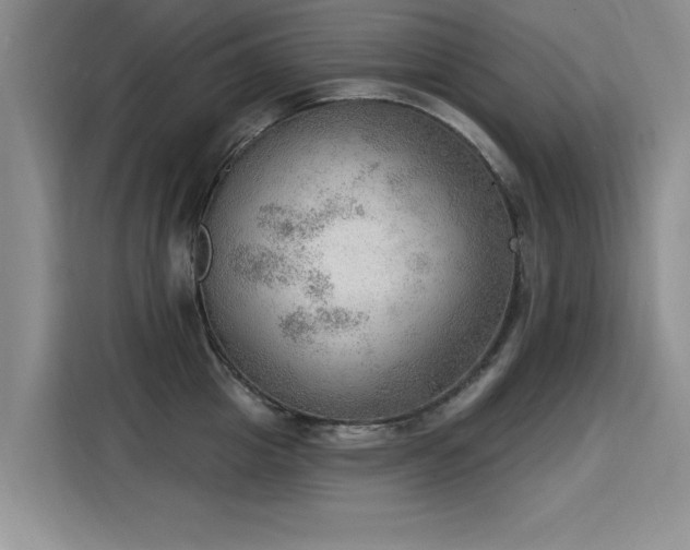 X0000115850857200911201612