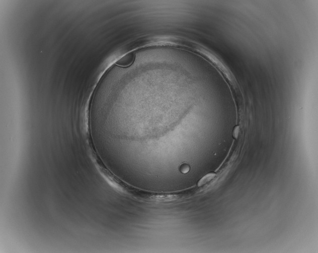 X0000115850858200911201612