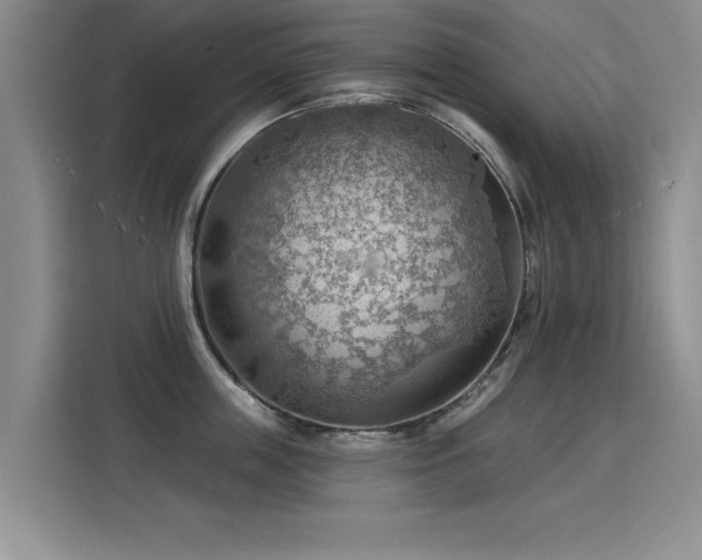 X0000115850859200911201612