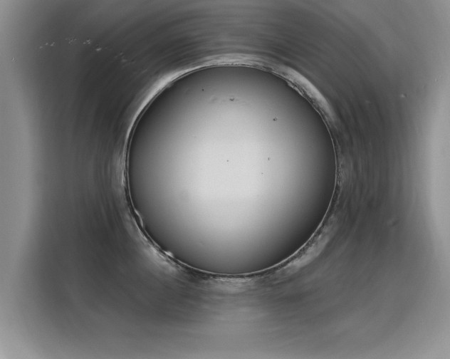 X0000115850860200911201612
