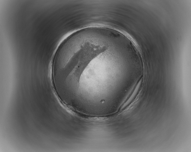 X0000115850862200911201612