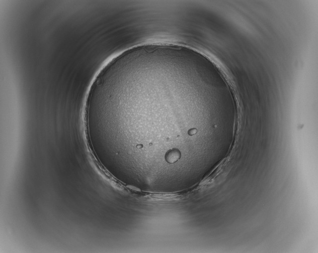 X0000115850864200911201612