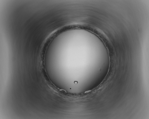 X0000115850872200911201611