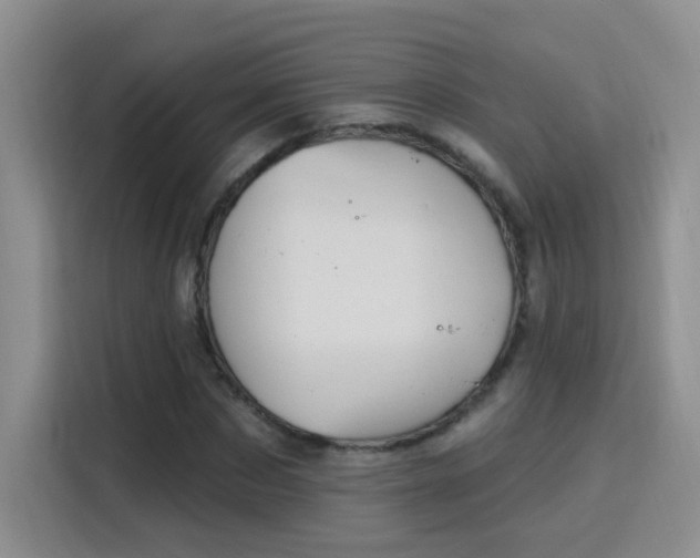X0000115850873200911201611