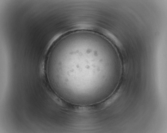 X0000115850875200911201611