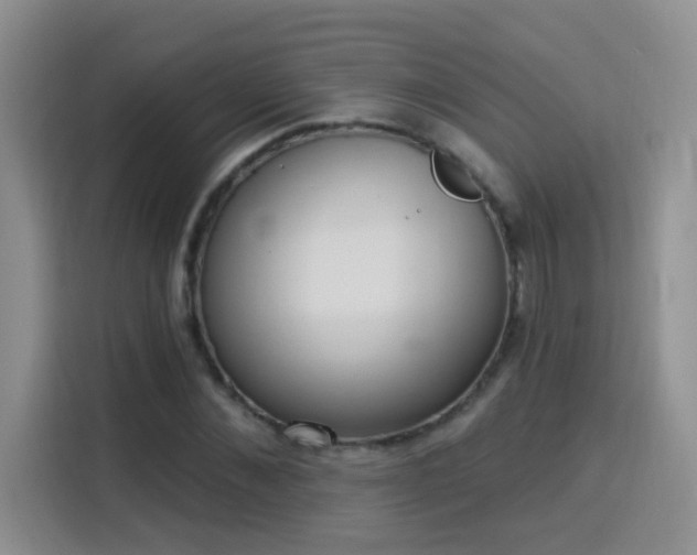 X0000115850876200911201611