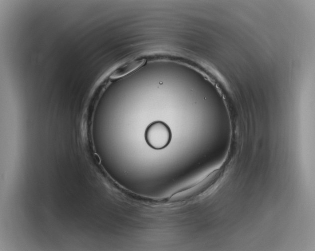X0000115850877200911201611