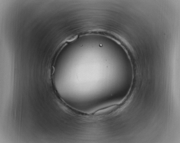 X0000115850881200911201611