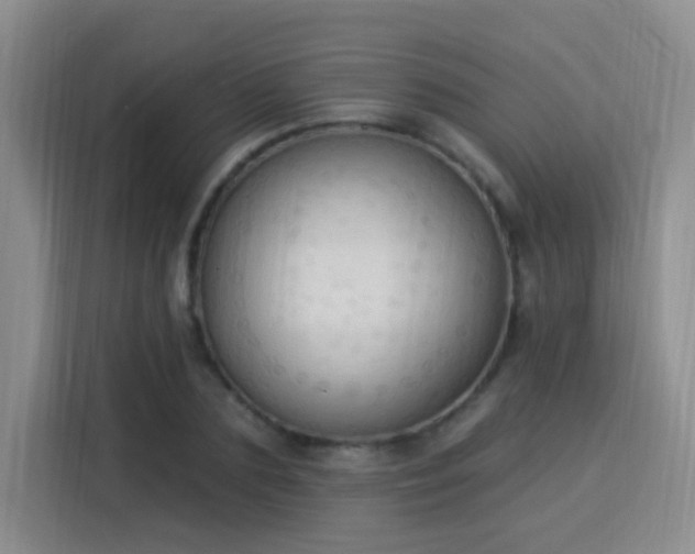 X0000115850883200911201611
