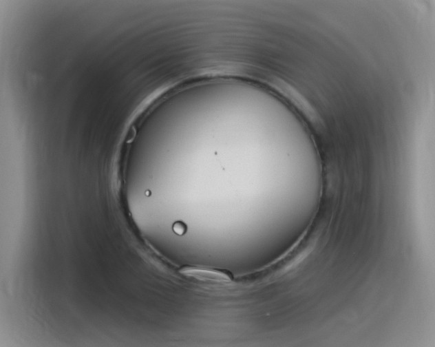 X0000115850885200911201611