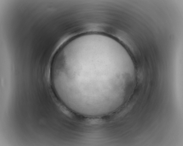 X0000115850886200911201611