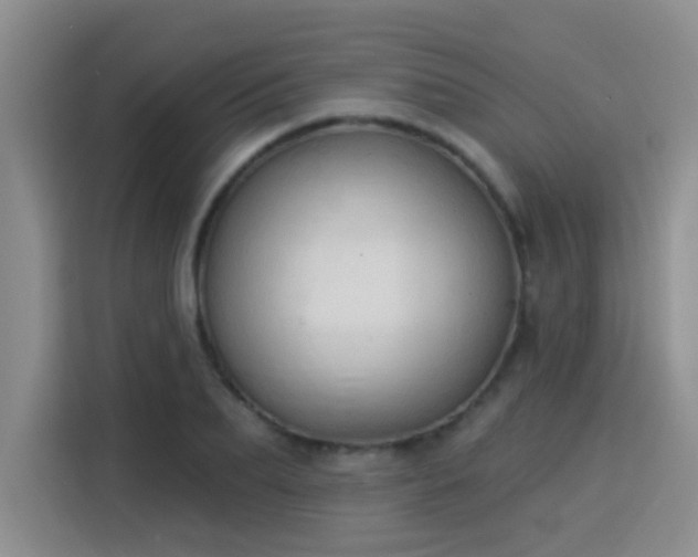X0000115850887200911201611