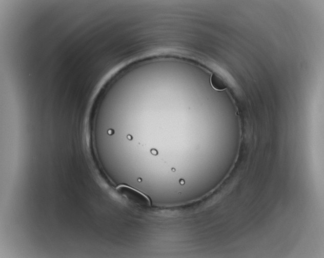 X0000115850888200911201611