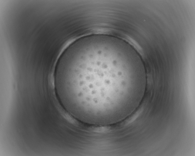 X0000115850891200911201611