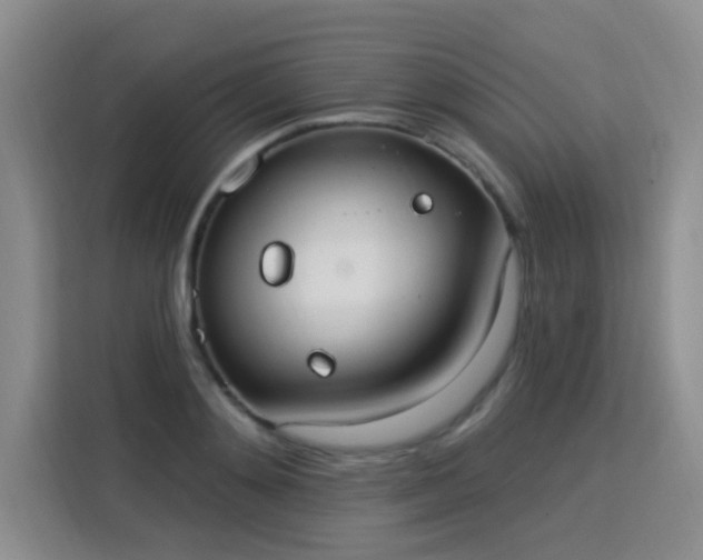 X0000115850892200911201611