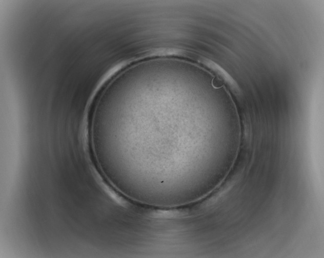 X0000115850894200911201611