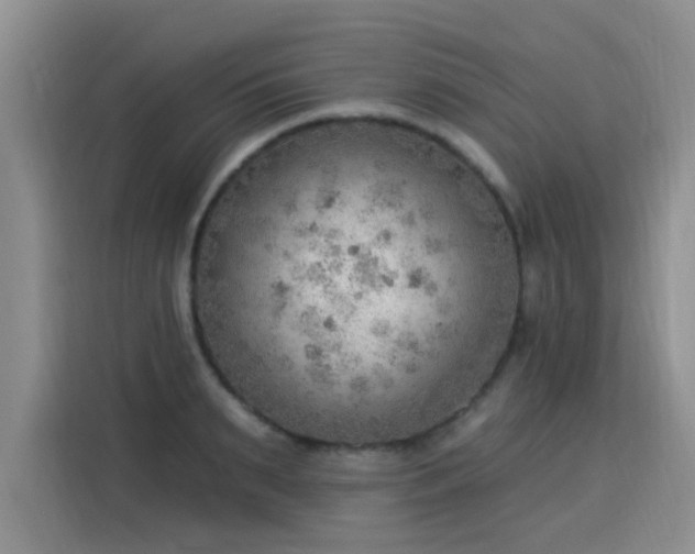 X0000115850895200911201611