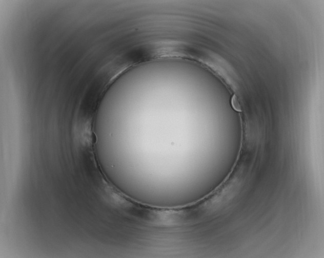 X0000115850897200911201611