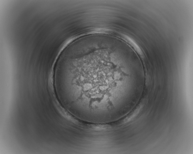 X0000115850899200911201611